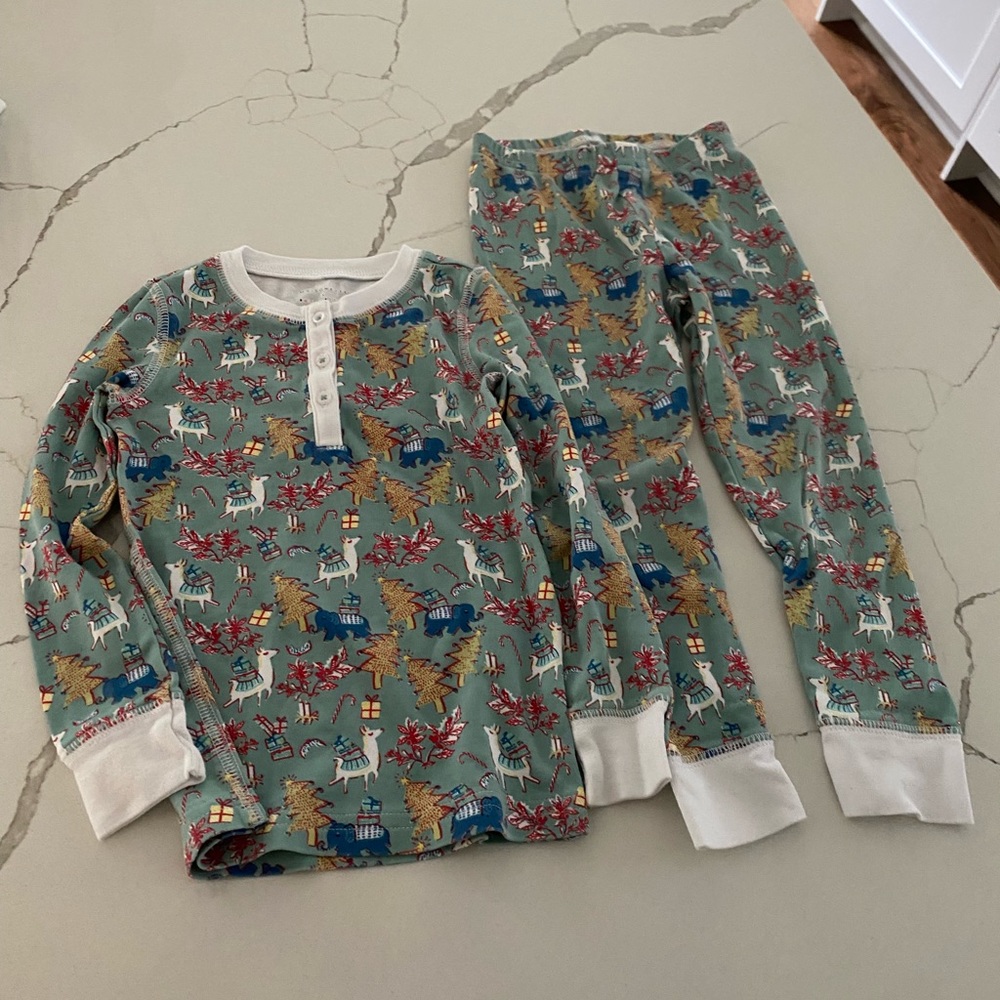 Roller Rabbit Christmas Pajamas- worn once